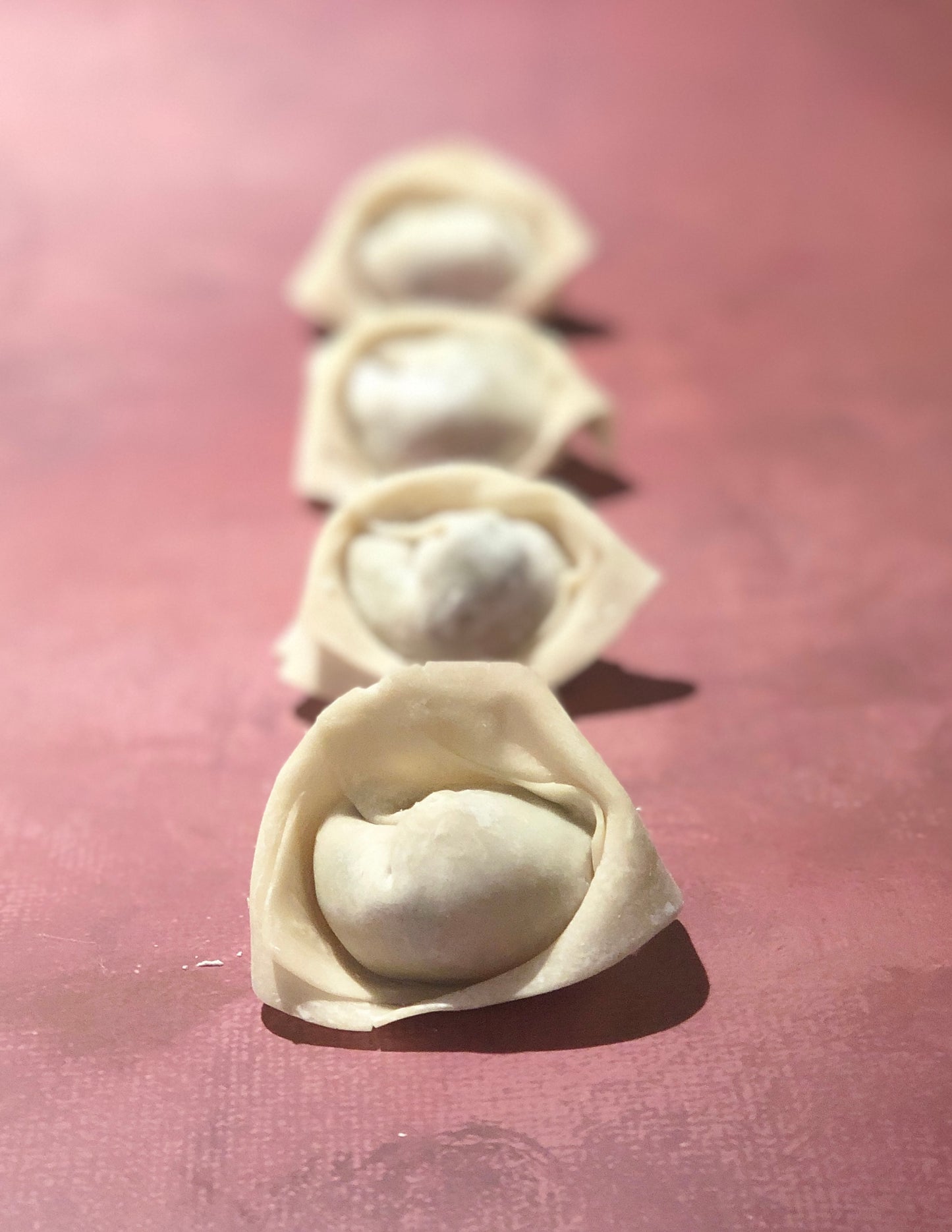 Shrimp and Chive Wonton 鮮蝦韭菜大餛飩