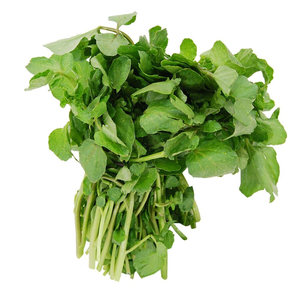 Watercress Berkshire Pork Dumpling 西洋菜黑毛豬肉餃子