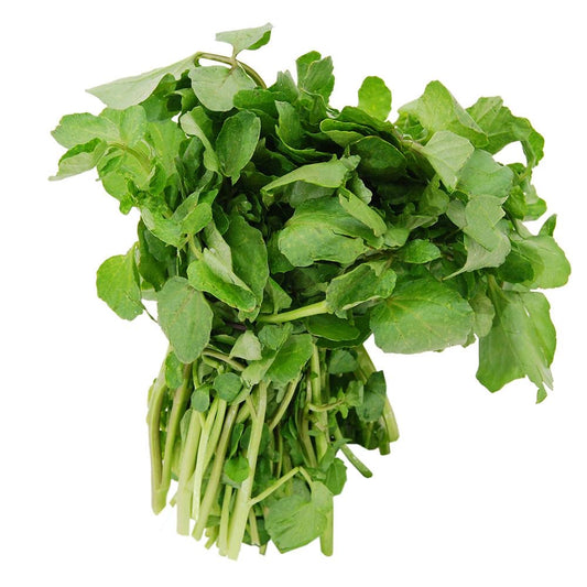 Watercress Berkshire Pork Dumpling 西洋菜黑毛豬肉餃子